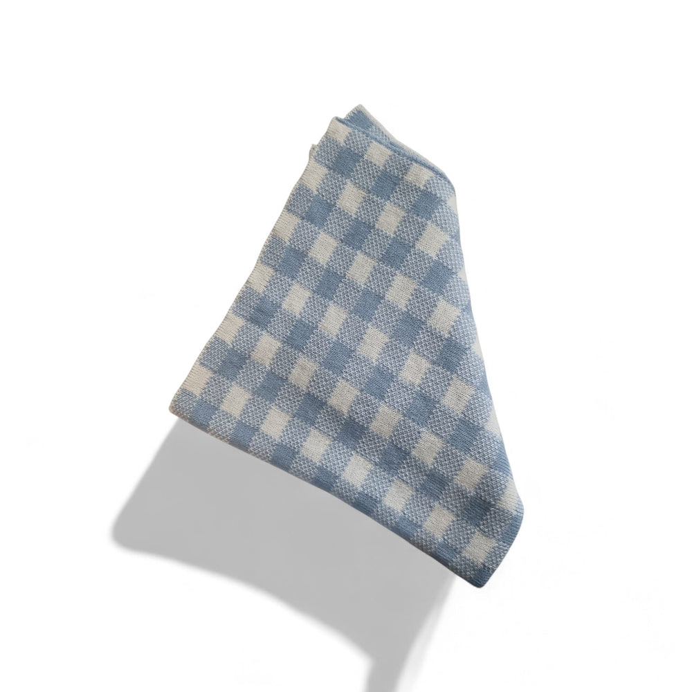 Blue Baby check blanket